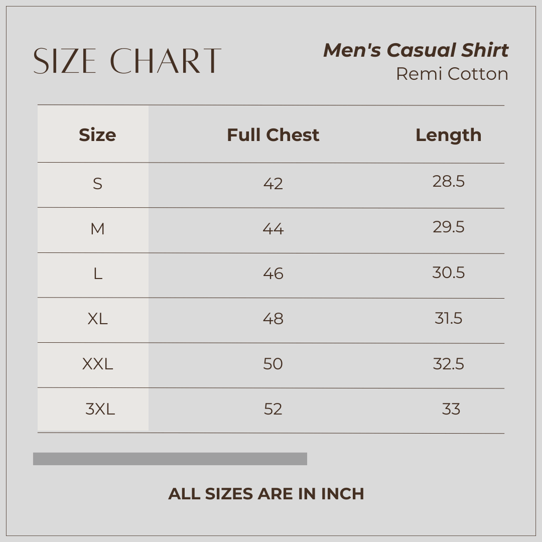 Men's Casual Shirt (Blue)