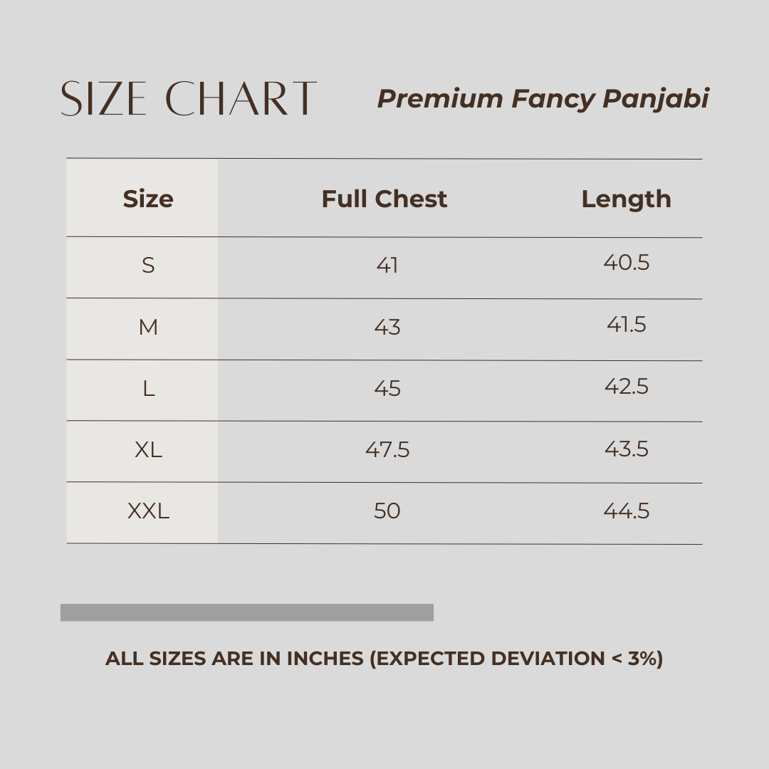 Premium Fancy Panjabi Ash