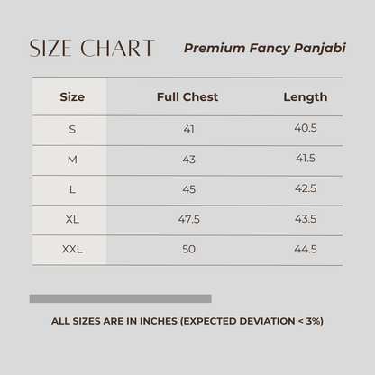 Premium Fancy Panjabi Ash