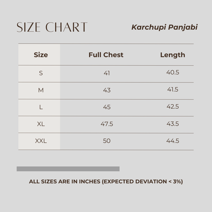 Karchupi Panjabi Black